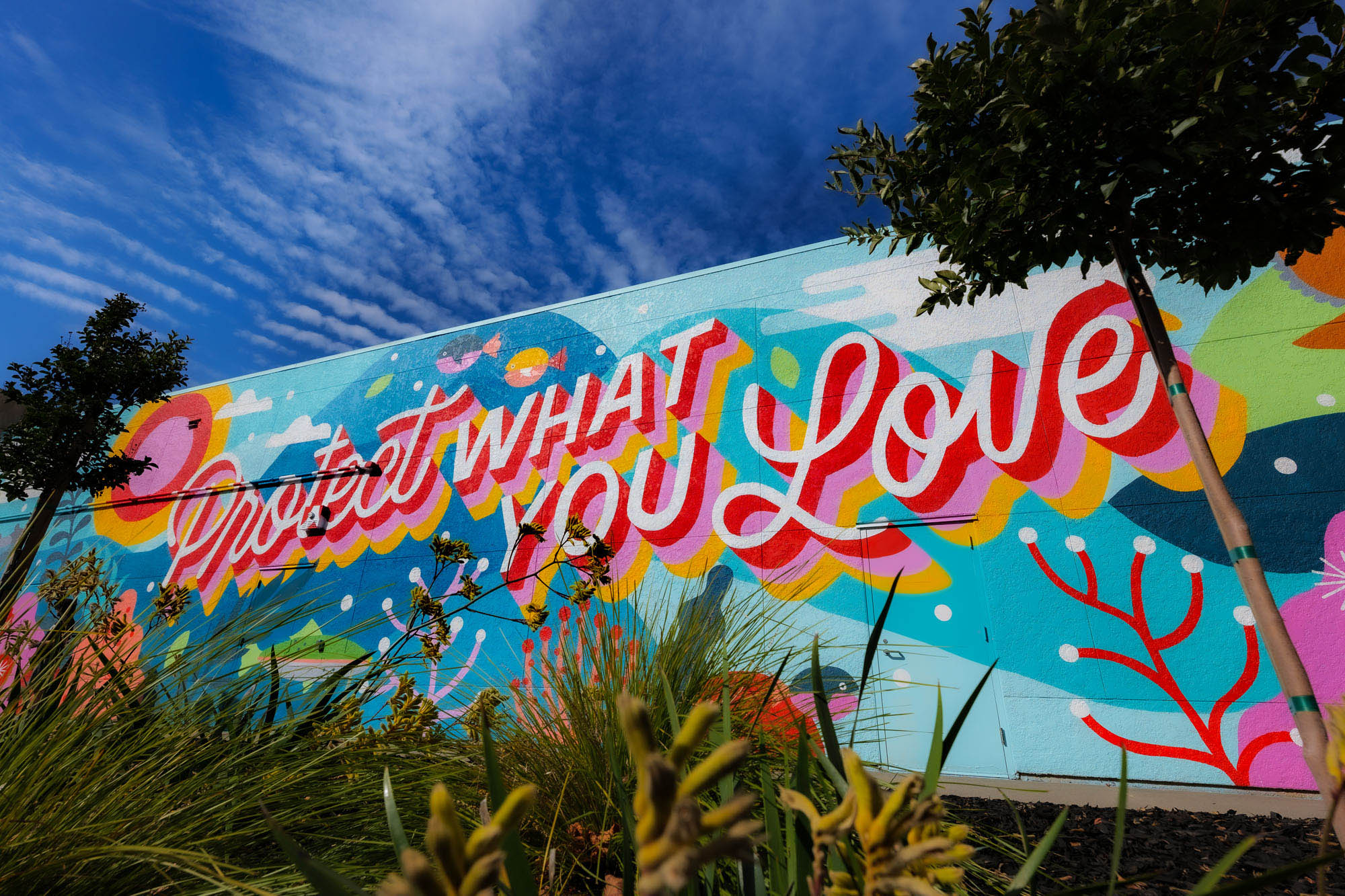 Protect What You Love mural by Steffi Lynn